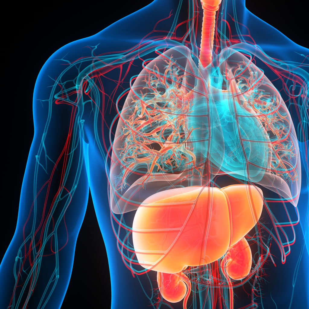 Vascular Disease Awareness Render